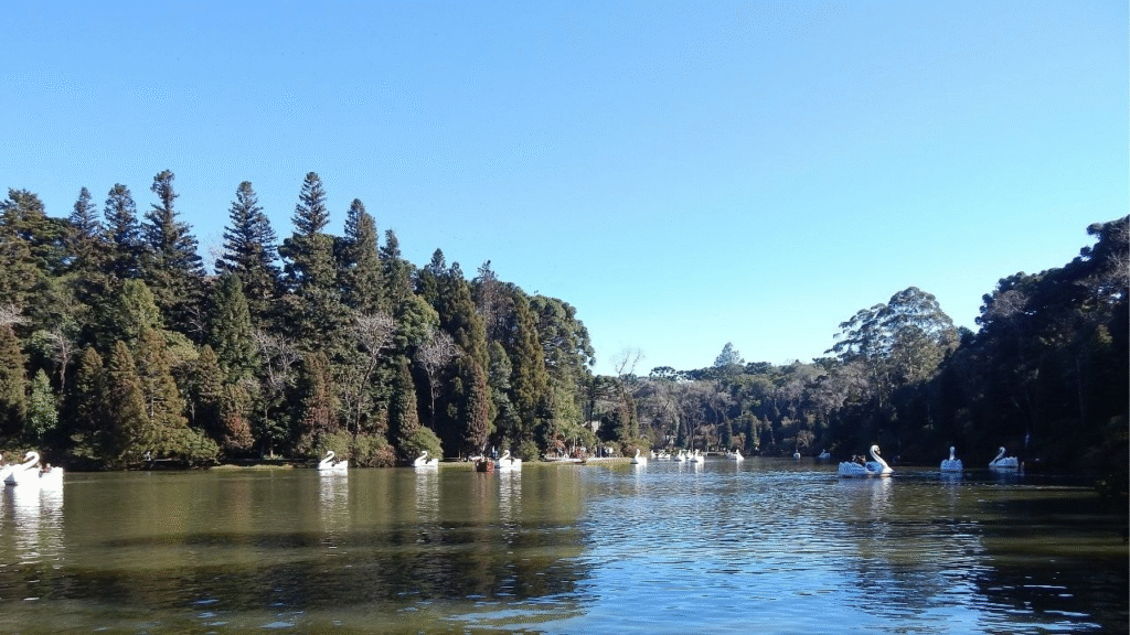 Destino romântico - Lago Negro , Gramado-RS