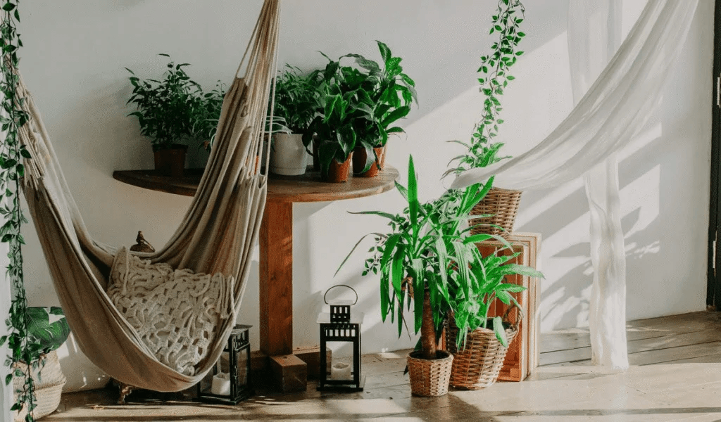 Minimalist space for reflection inspired by Pepe Mujica