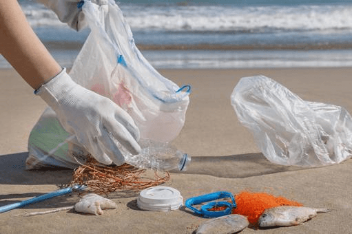 World Environment Day Volunteer collecting plastic waste along the shoreline